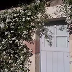 La Curva De Maria
