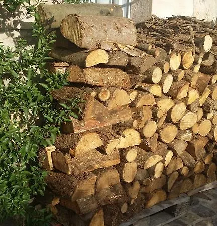 La Curva De María Сasa de vacaciones