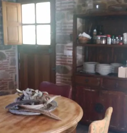 La Curva De María Terán